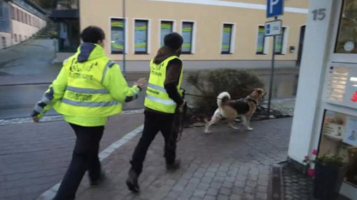 Foto von Mantrailing einer Hundeschule des Hundetrainers Markus Koch in Thüringen